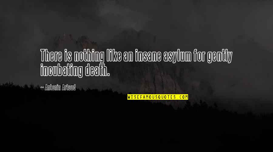 Antonin Artaud Quotes By Antonin Artaud: There is nothing like an insane asylum for