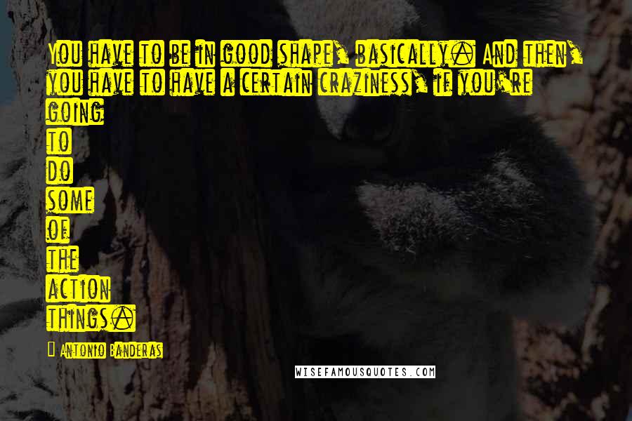 Antonio Banderas quotes: You have to be in good shape, basically. And then, you have to have a certain craziness, if you're going to do some of the action things.