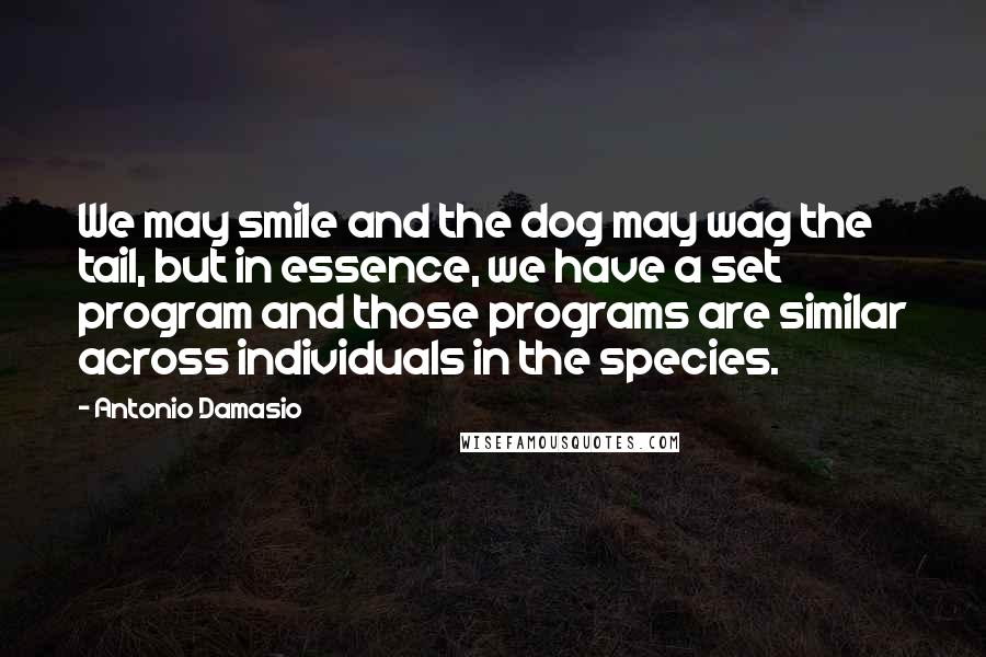 Antonio Damasio quotes: We may smile and the dog may wag the tail, but in essence, we have a set program and those programs are similar across individuals in the species.