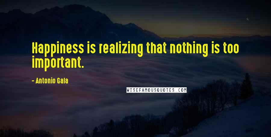 Antonio Gala quotes: Happiness is realizing that nothing is too important.