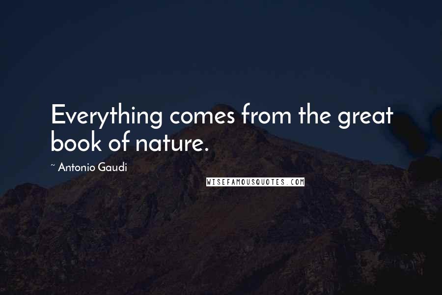 Antonio Gaudi quotes: Everything comes from the great book of nature.