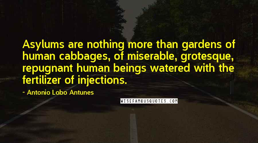 Antonio Lobo Antunes quotes: Asylums are nothing more than gardens of human cabbages, of miserable, grotesque, repugnant human beings watered with the fertilizer of injections. Antonio Lobo Antunes quotes: Asylums are nothing more than gardens of human cabbages, of miserable, grotesque, repugnant human beings watered with the fertilizer of injections.