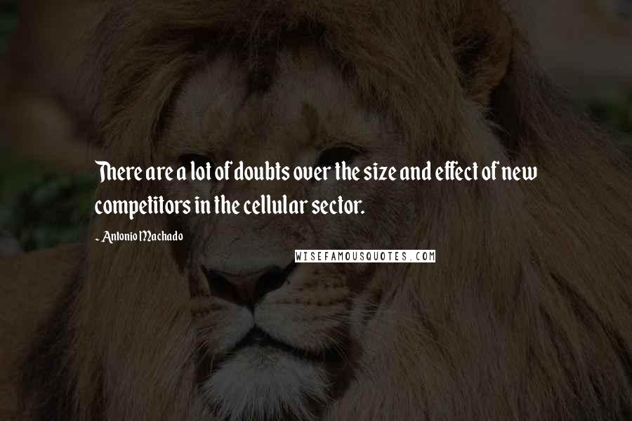 Antonio Machado quotes: There are a lot of doubts over the size and effect of new competitors in the cellular sector.