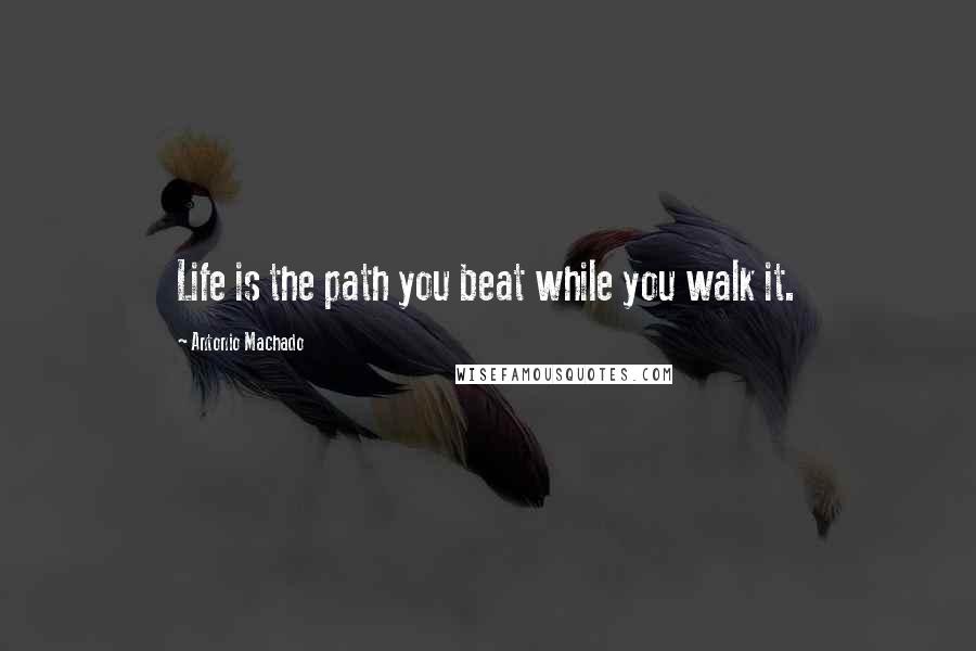 Antonio Machado quotes: Life is the path you beat while you walk it.