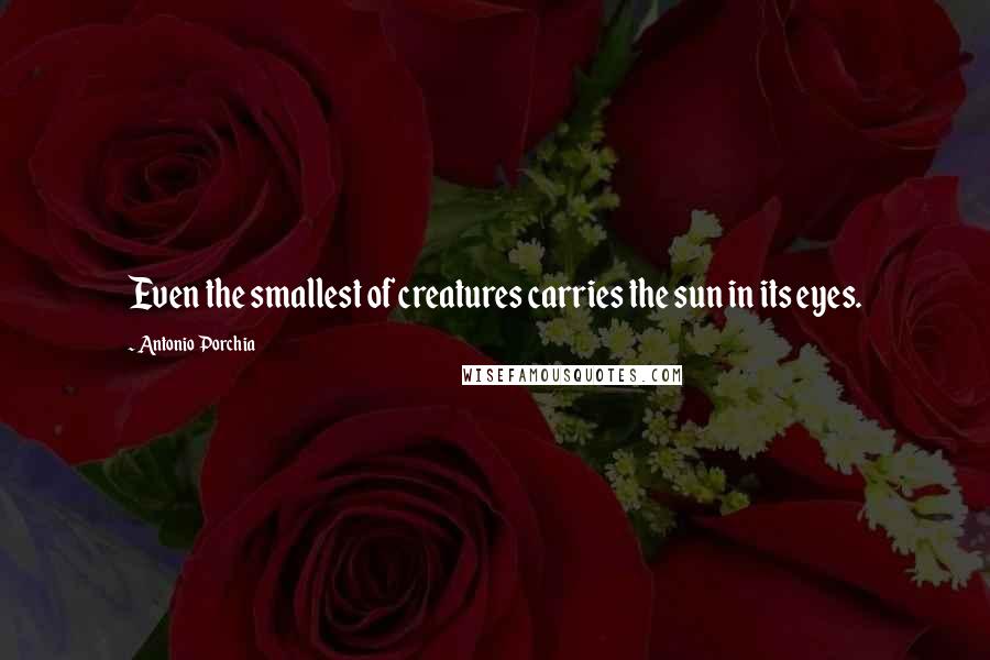 Antonio Porchia quotes: Even the smallest of creatures carries the sun in its eyes.