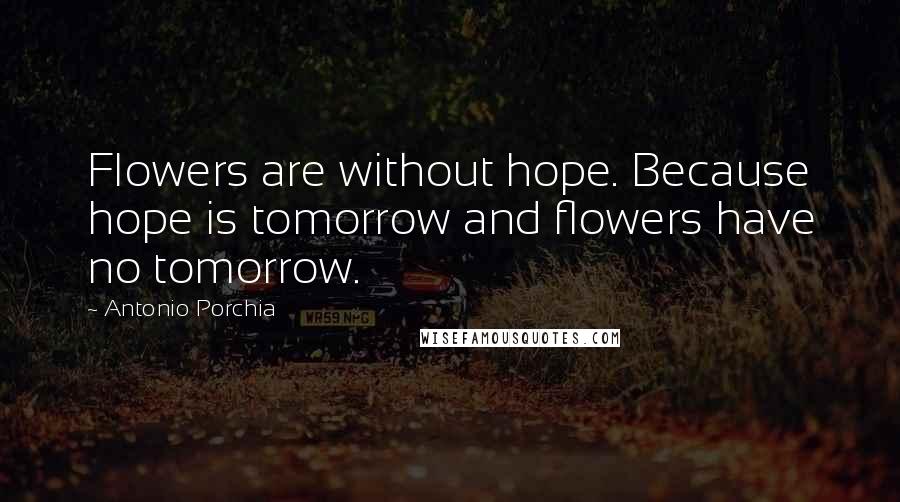 Antonio Porchia quotes: Flowers are without hope. Because hope is tomorrow and flowers have no tomorrow.