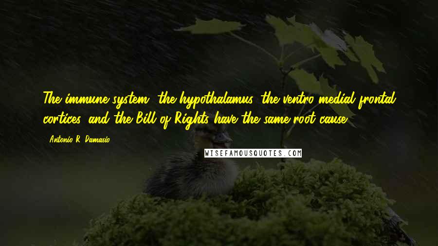 Antonio R. Damasio quotes: The immune system, the hypothalamus, the ventro-medial frontal cortices, and the Bill of Rights have the same root cause. Antonio R. Damasio quotes: The immune system, the hypothalamus, the ventro-medial frontal cortices, and the Bill of Rights have the same root cause.