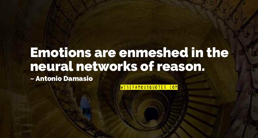 Antonio R. Damasio Quotes By Antonio Damasio: Emotions are enmeshed in the neural networks of