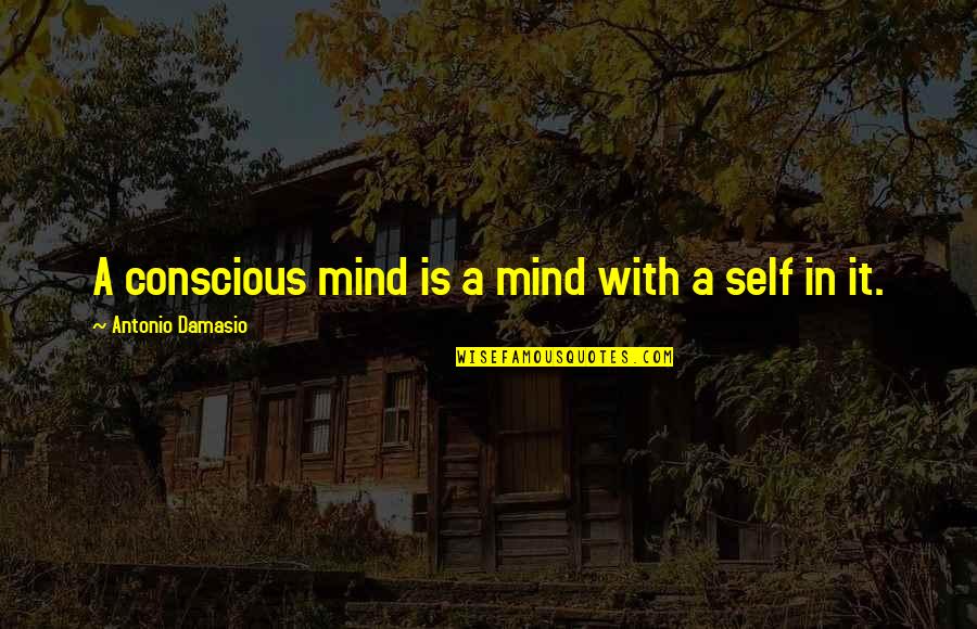 Antonio R. Damasio Quotes By Antonio Damasio: A conscious mind is a mind with a