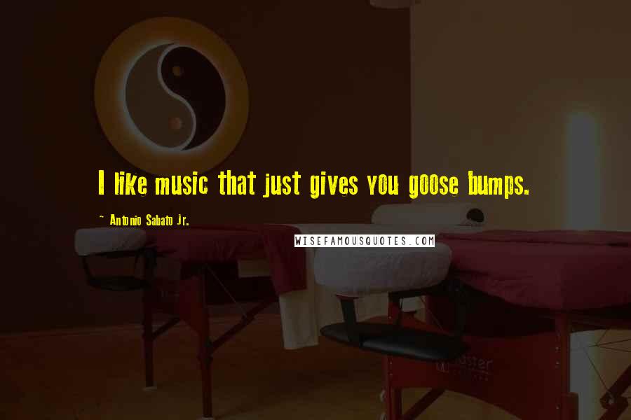 Antonio Sabato Jr. quotes: I like music that just gives you goose bumps.