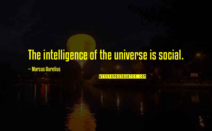 Antonita Moynihan Quotes By Marcus Aurelius: The intelligence of the universe is social.