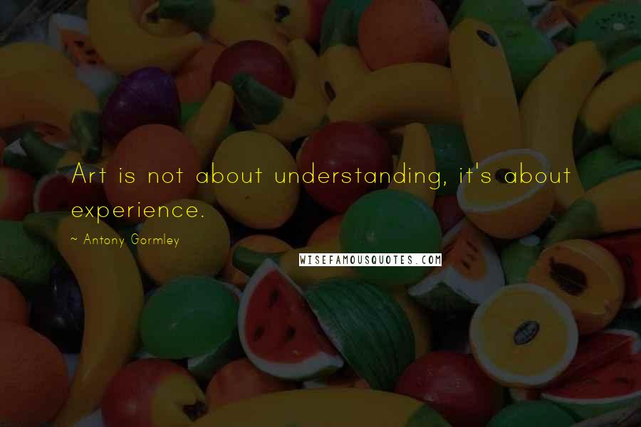 Antony Gormley quotes: Art is not about understanding, it's about experience.