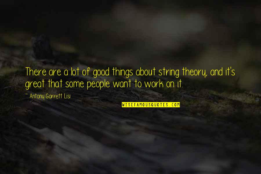 Antony's Quotes By Antony Garrett Lisi: There are a lot of good things about
