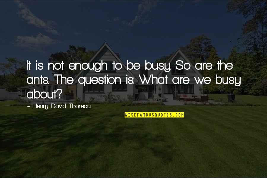 Ants Quotes By Henry David Thoreau: It is not enough to be busy. So