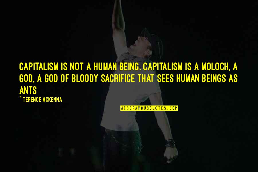 Ants Quotes By Terence McKenna: Capitalism is not a human being. Capitalism is
