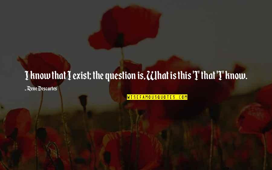 Anttonenea Quotes By Rene Descartes: I know that I exist; the question is,