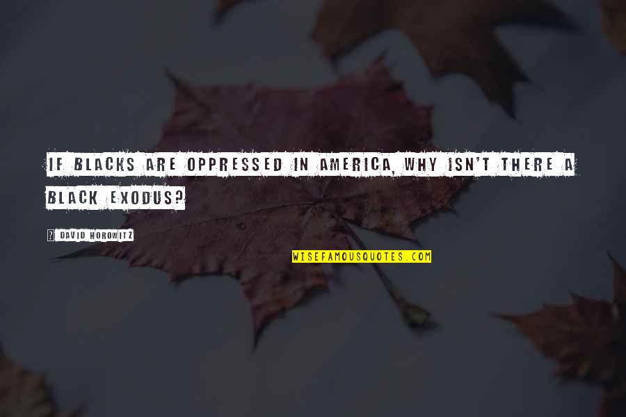 Antwortbogen Quotes By David Horowitz: If blacks are oppressed in America, why isn't Antwortbogen Quotes By David Horowitz: If blacks are oppressed in America, why isn't