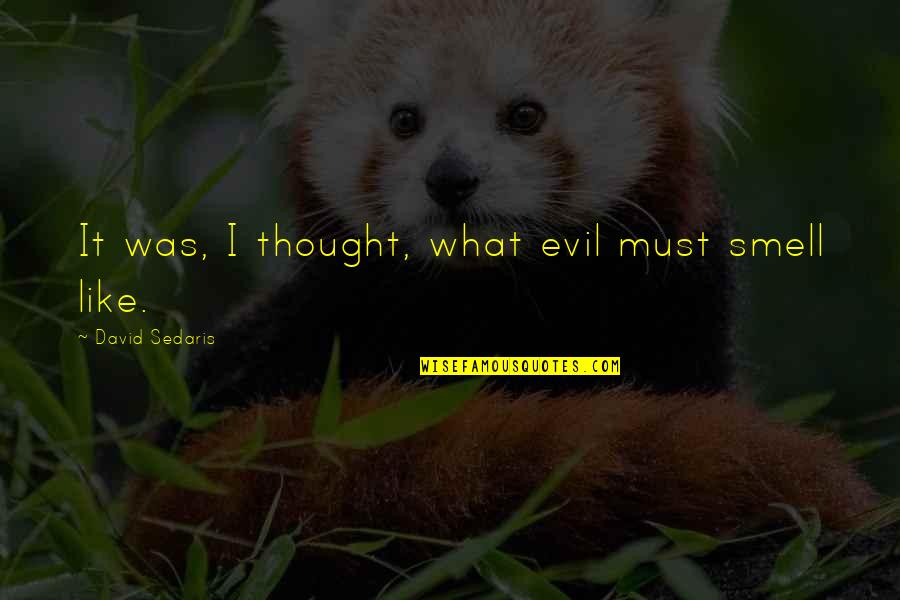 Anuman Pangungusap Quotes By David Sedaris: It was, I thought, what evil must smell