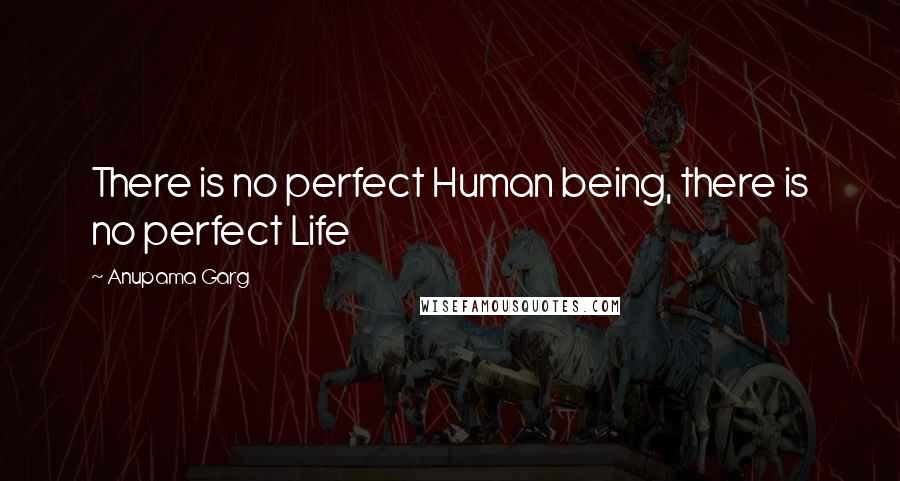 Anupama Garg quotes: There is no perfect Human being, there is no perfect Life