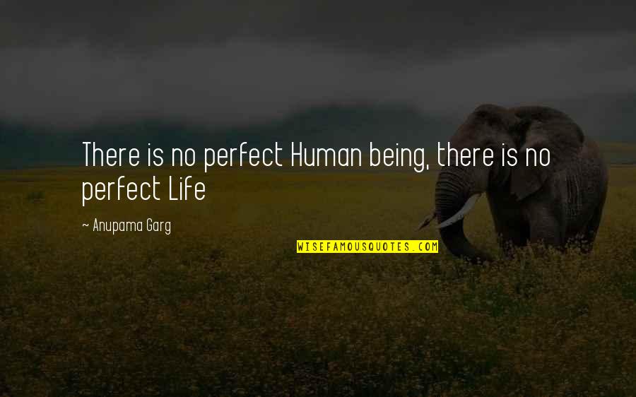 Anupama Quotes By Anupama Garg: There is no perfect Human being, there is