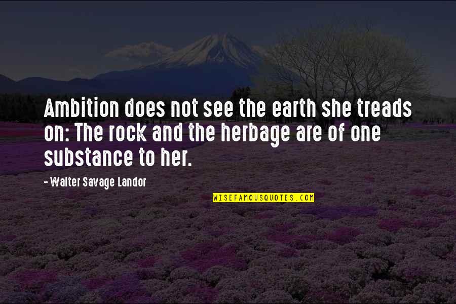 Anurg Quotes By Walter Savage Landor: Ambition does not see the earth she treads
