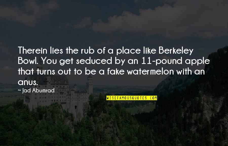 Anus Quotes By Jad Abumrad: Therein lies the rub of a place like