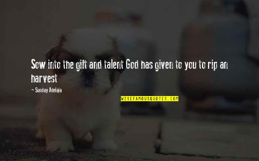 Anuska Ana Quotes By Sunday Adelaja: Sow into the gift and talent God has