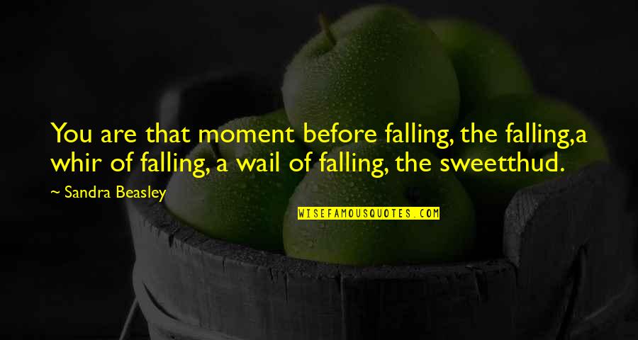 Anvita Phaltankar Quotes By Sandra Beasley: You are that moment before falling, the falling,a