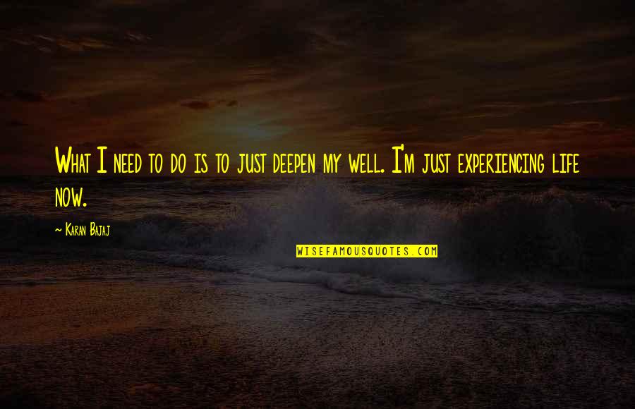 Anwenden Quotes By Karan Bajaj: What I need to do is to just
