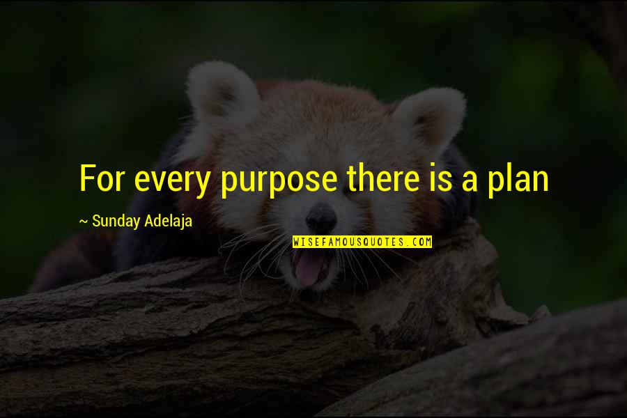 Anxieties In Children Quotes By Sunday Adelaja: For every purpose there is a plan