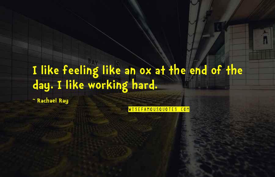 Anxiety And Depression Inspirational Quotes By Rachael Ray: I like feeling like an ox at the