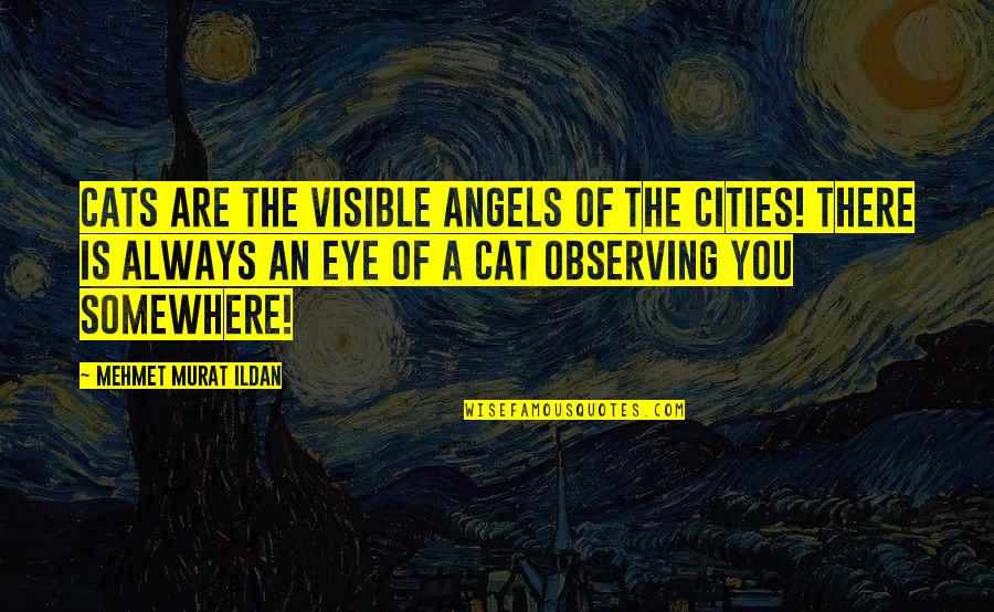 Anxiety Attack Funny Quotes By Mehmet Murat Ildan: Cats are the visible angels of the cities!