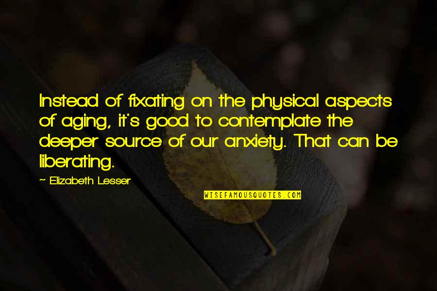 Anxiety's Quotes By Elizabeth Lesser: Instead of fixating on the physical aspects of