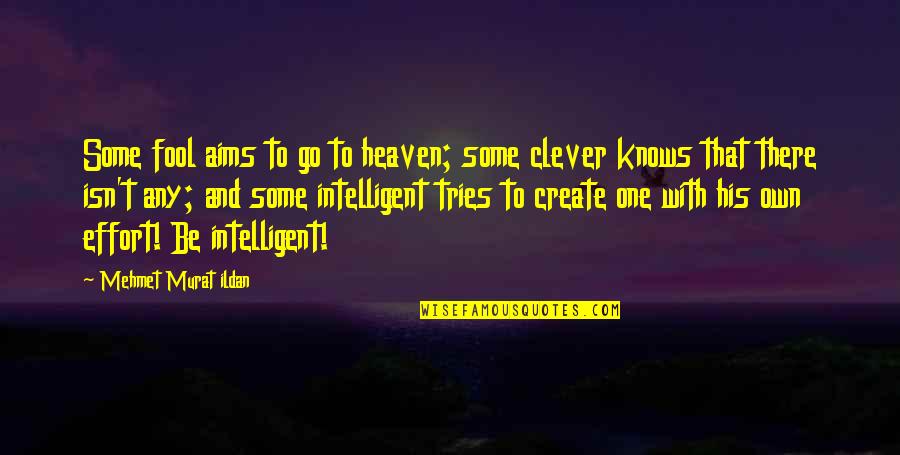 Any Clever Quotes By Mehmet Murat Ildan: Some fool aims to go to heaven; some