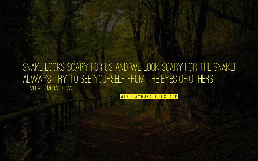 Any Further West Quotes By Mehmet Murat Ildan: Snake looks scary for us and we look