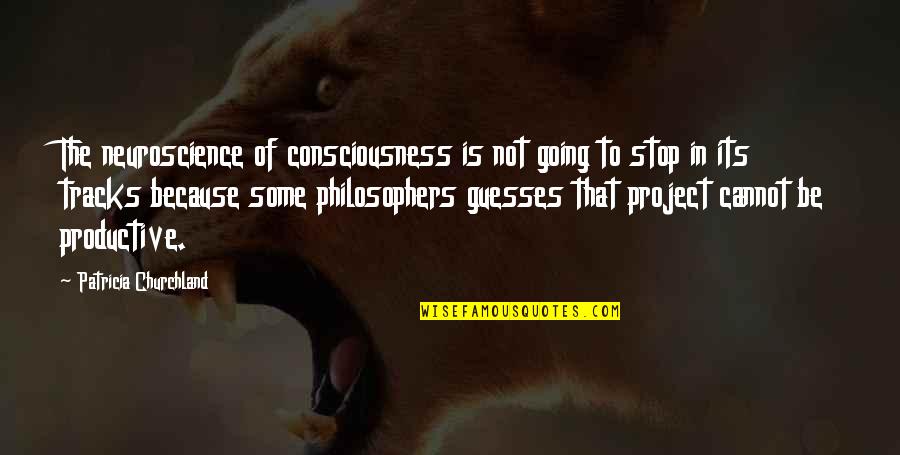 Any Guesses Quotes By Patricia Churchland: The neuroscience of consciousness is not going to