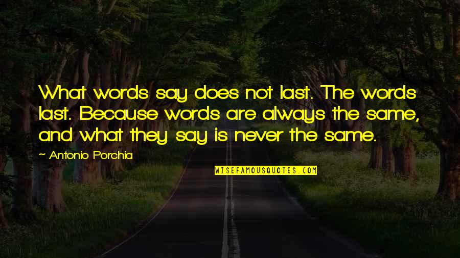 Any Last Words Quotes By Antonio Porchia: What words say does not last. The words