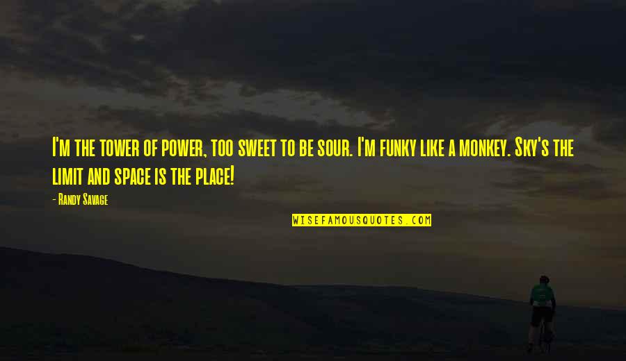 Anyakanyar Quotes By Randy Savage: I'm the tower of power, too sweet to