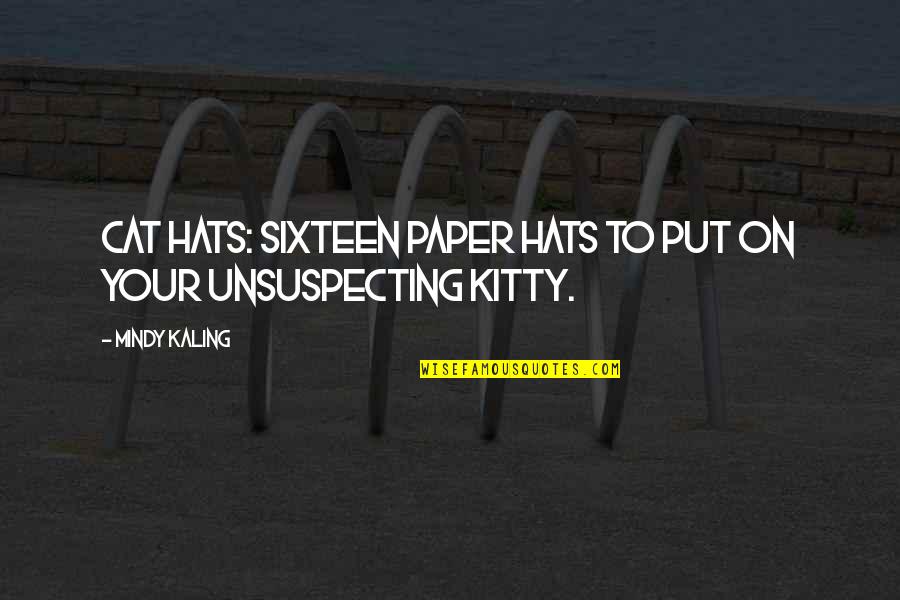 Anyone Can Fake An Interview Quotes By Mindy Kaling: Cat Hats: Sixteen Paper Hats to Put on