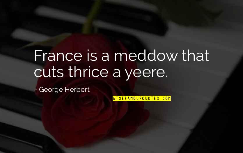 Anyone Can Make You Smile Quotes By George Herbert: France is a meddow that cuts thrice a
