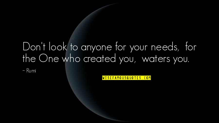 Anyone Quotes By Rumi: Don't look to anyone for your needs, for