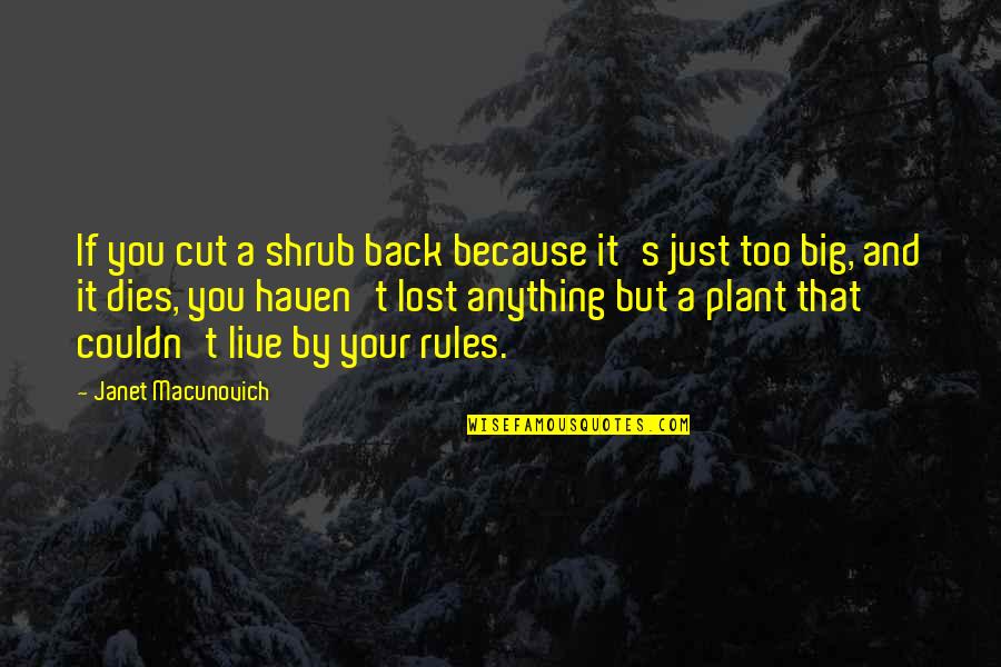 Anything Because Quotes By Janet Macunovich: If you cut a shrub back because it's