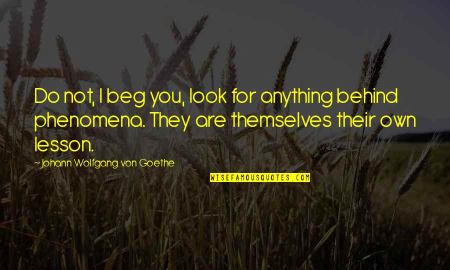 Anything For You Quotes By Johann Wolfgang Von Goethe: Do not, I beg you, look for anything Anything For You Quotes By Johann Wolfgang Von Goethe: Do not, I beg you, look for anything