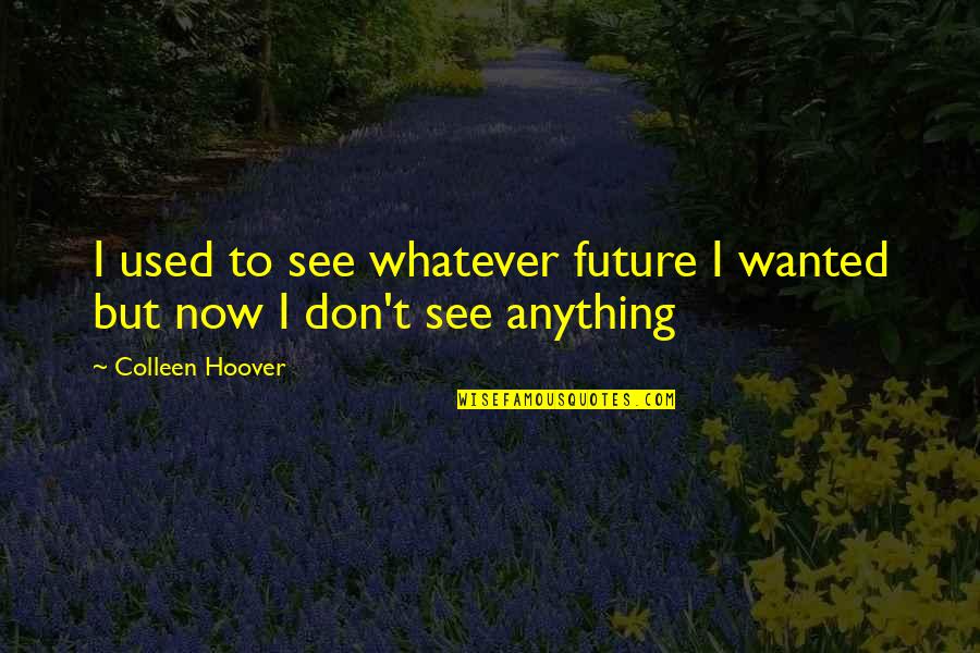 Anything I Quotes By Colleen Hoover: I used to see whatever future I wanted Anything I Quotes By Colleen Hoover: I used to see whatever future I wanted