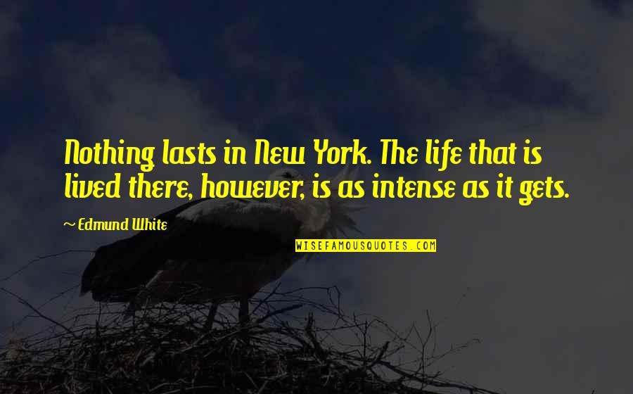Anythingit Inc Quotes By Edmund White: Nothing lasts in New York. The life that