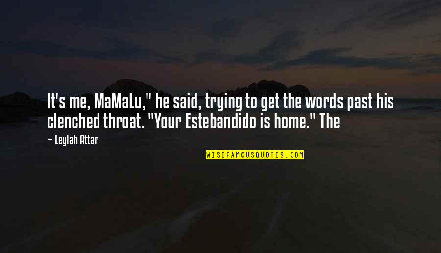 Anywhere Door Quotes By Leylah Attar: It's me, MaMaLu," he said, trying to get Anywhere Door Quotes By Leylah Attar: It's me, MaMaLu," he said, trying to get