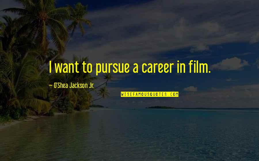 Anywhere Door Quotes By O'Shea Jackson Jr.: I want to pursue a career in film.