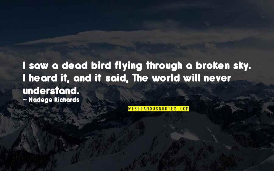 Anzelika Kikkas Quotes By Nadege Richards: I saw a dead bird flying through a