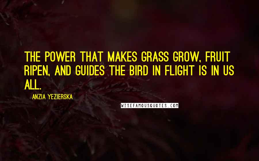 Anzia Yezierska quotes: The power that makes grass grow, fruit ripen, and guides the bird in flight is in us all.