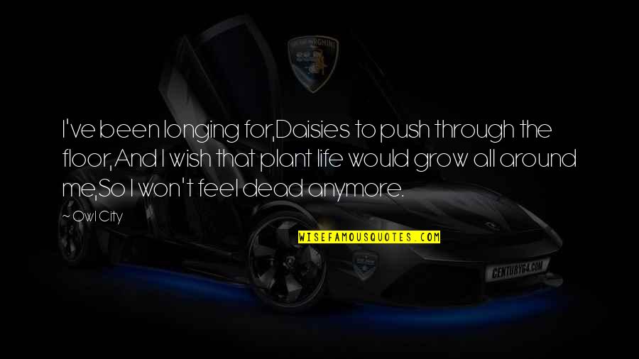 Anzuelo Del Quotes By Owl City: I've been longing for,Daisies to push through the Anzuelo Del Quotes By Owl City: I've been longing for,Daisies to push through the